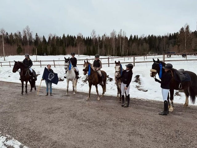 GRS ponnylag till SM final i Falsterbo Gefle Dagblad 