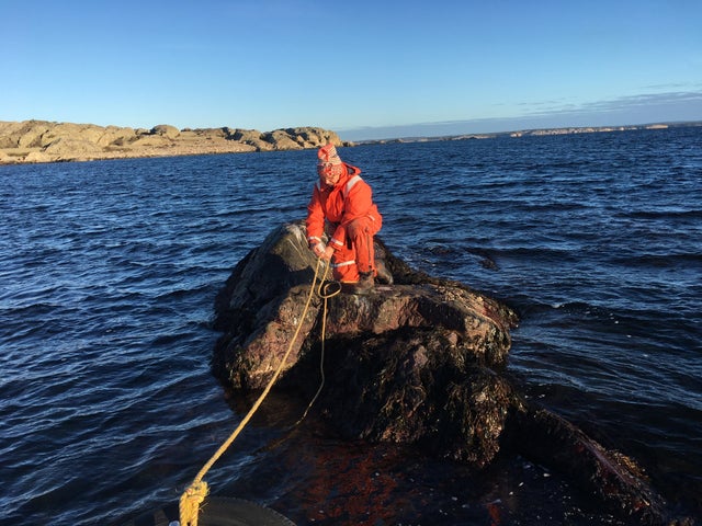 Kirsten Johansson, professor of marine ecology at the University of Gothenburg, talks about a seal in the Köster Sea.