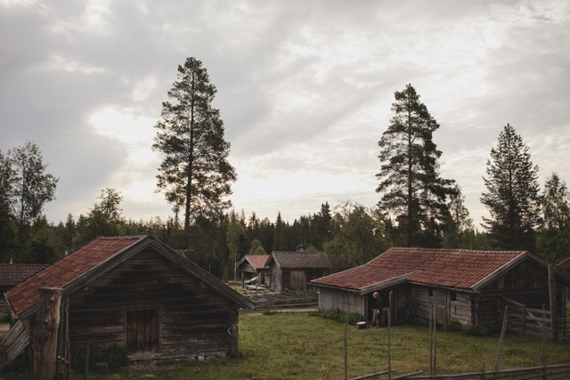 Nu finns fäbodkulturen på UNESCO:s lista över kulturarv. Bilden är från Vikarbyn.