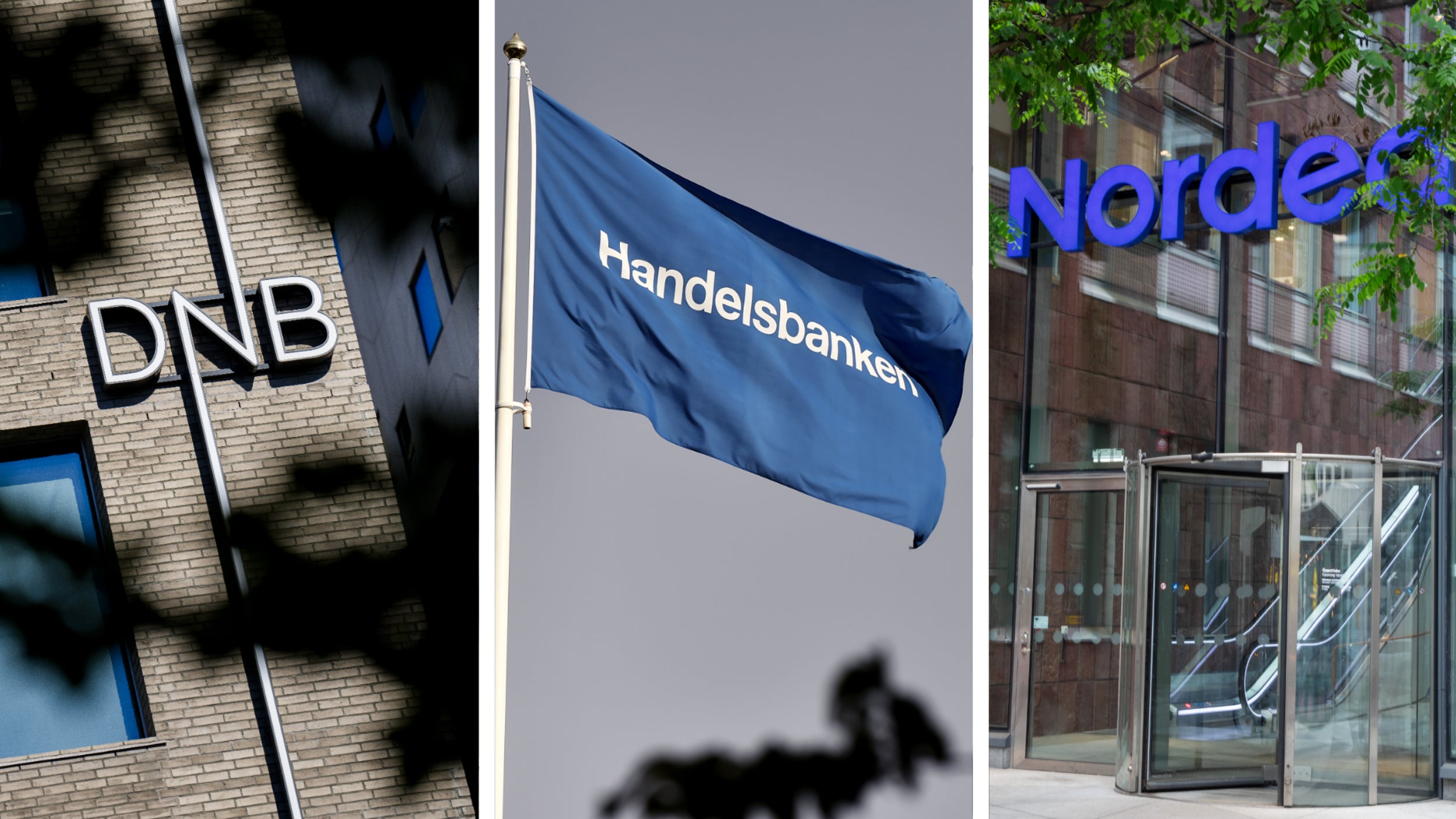 Goldman Sachs: Favoriterna inom nordiska banksektorn