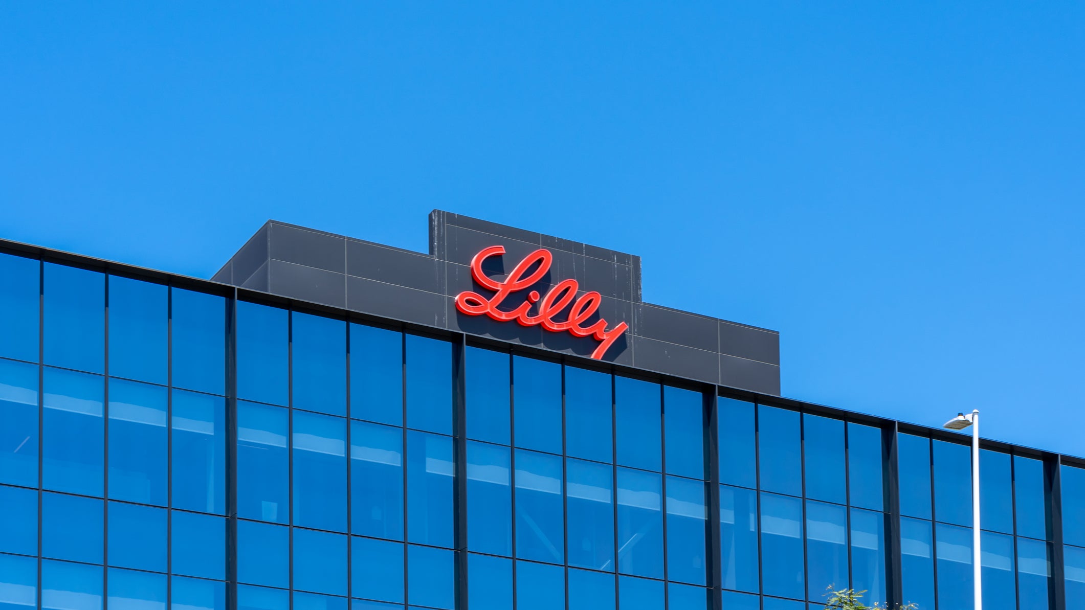 Eli Lilly backar på ny helårsprognos