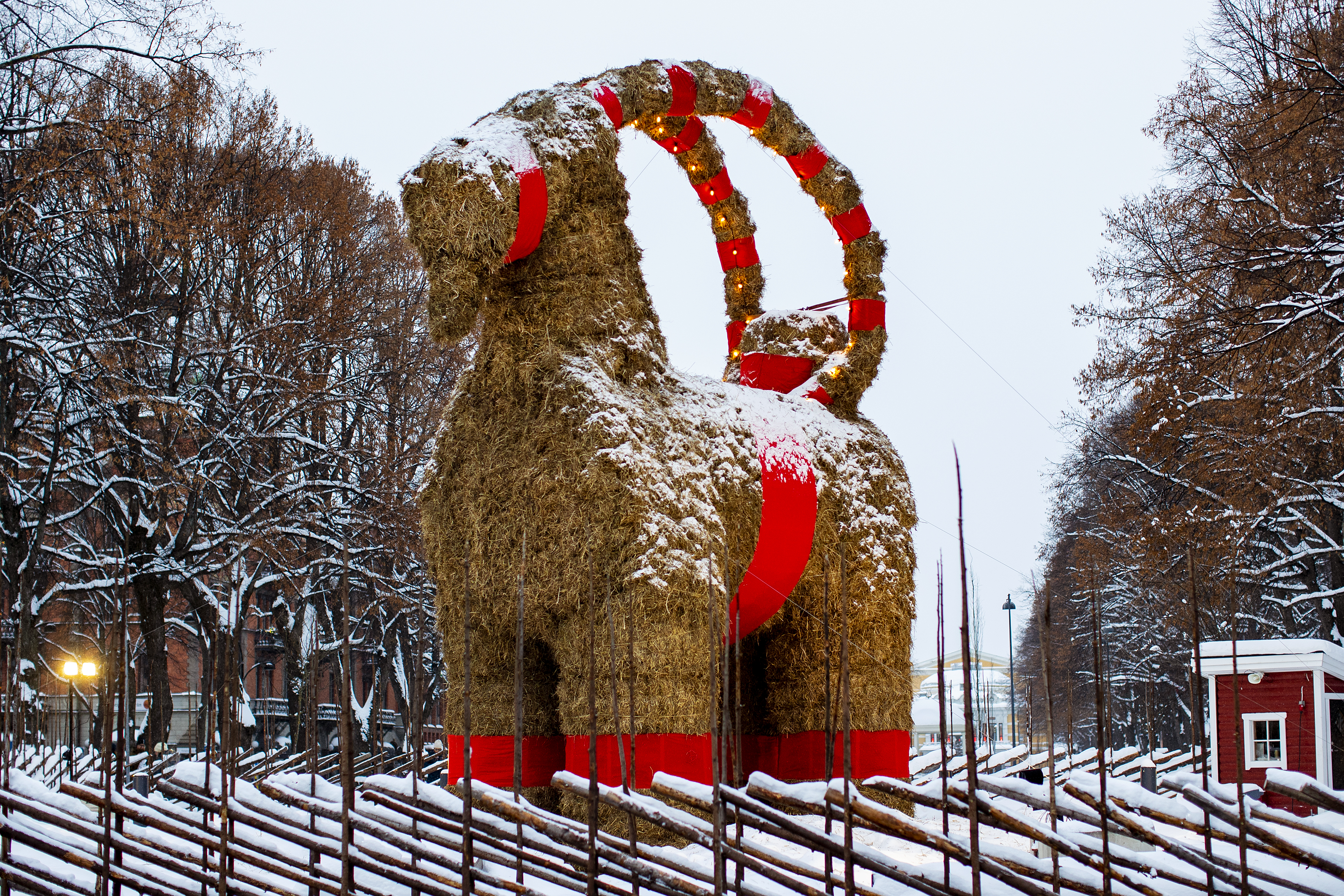 Årets julbock i Gävle hotas – från ovan. Arkivbild.