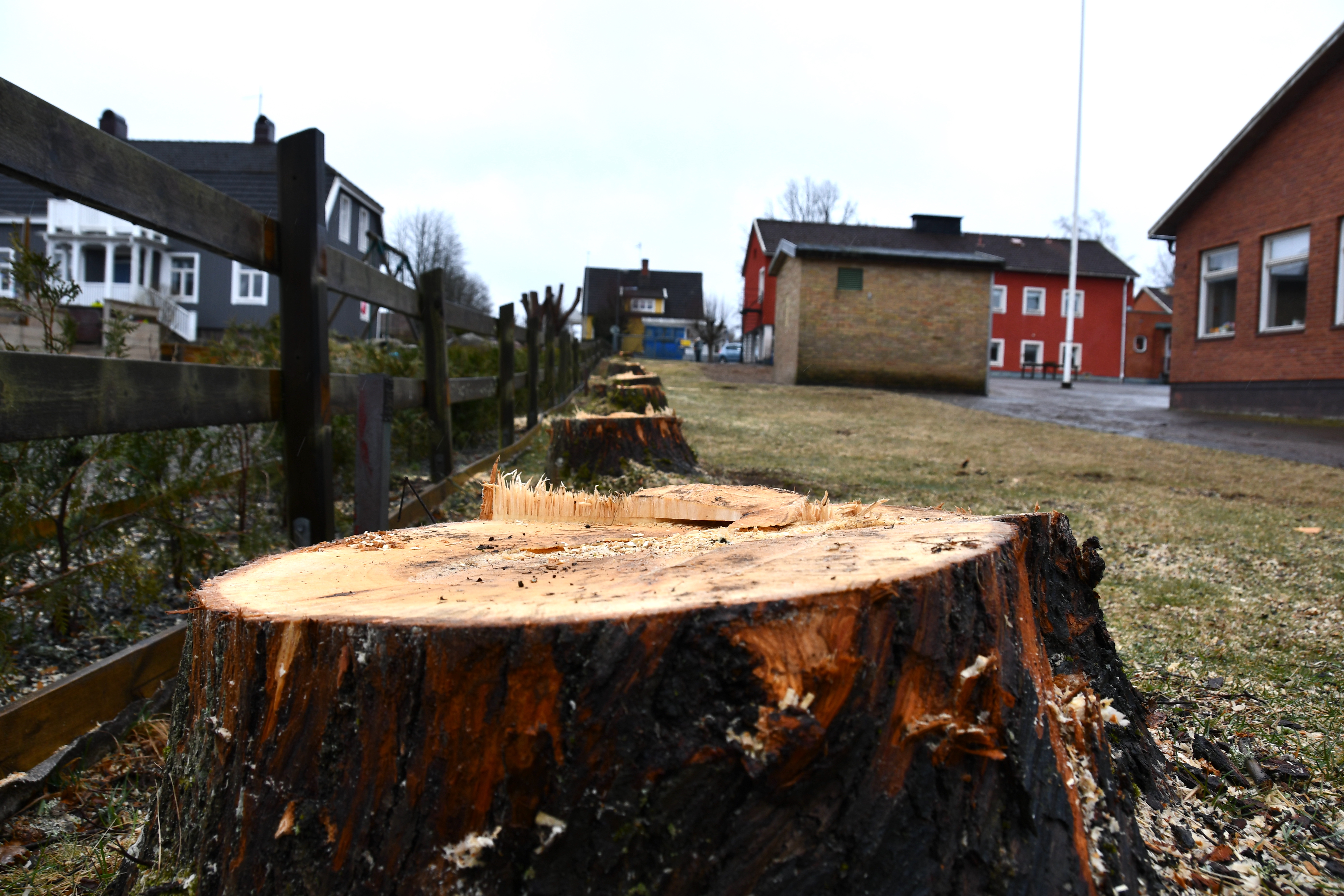 Stockaryds skola - Sävsjö kommun