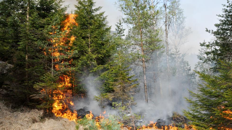 Under torsdagen den 25 maj kommer en kontrollerad naturvårdsbränning genomföras i Sörö, som är ett område i Store Mosse nationalpark. 
