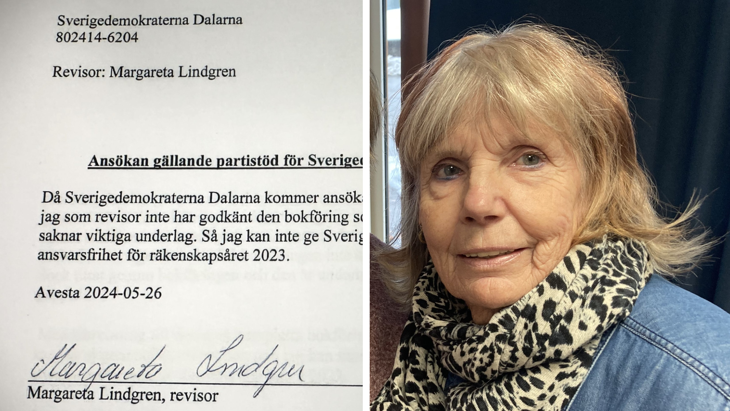 Därför Underkände Hon SD:s Bokföring: ”Bluff är Ingenting För Mig ...