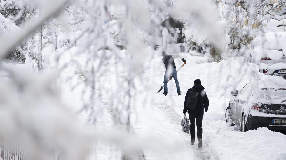 Lokalt väntas kraftiga snöfall i Uppsala och Stockholms län under fredagen. Arkivbild.
