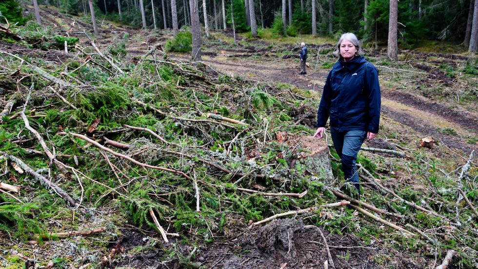 ”Det är så onödigt. Skogen har så många fler värden än monetära” säger Anna Isaksson om avverkningen vid populära Stråkenleden.