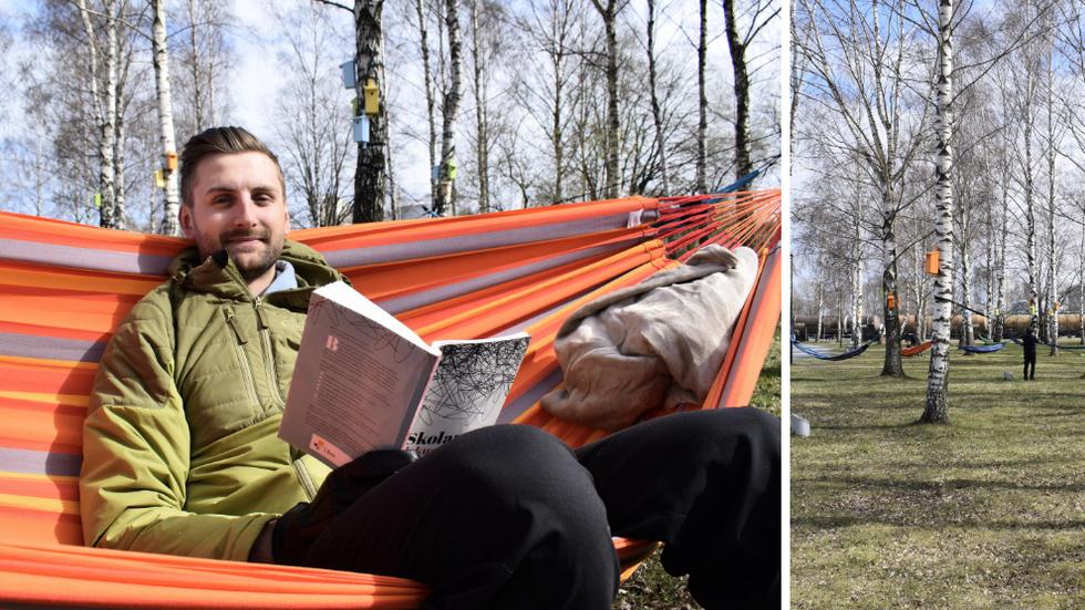 Studenten Petter Viborgh valde att plugga utomhus på tisdagen. 