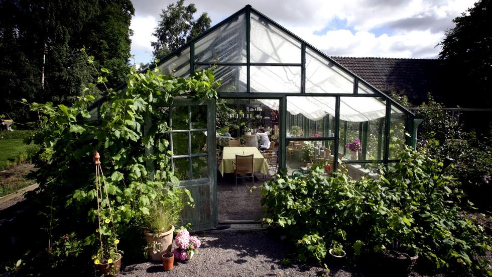 Ett växthus kan se ut på många sätt och byggas både för enbart odling och som en uterum för vila och umgänge.
