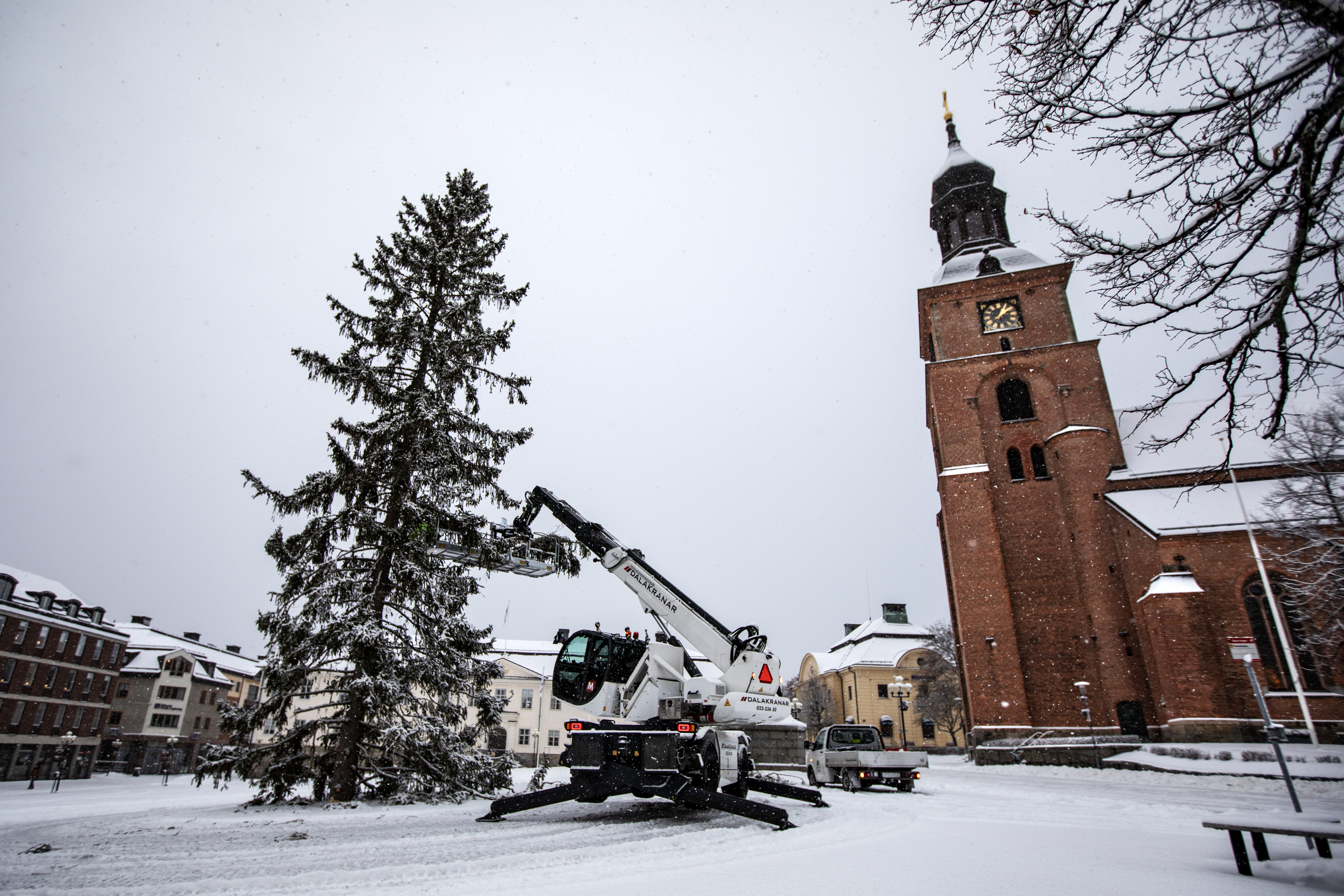 Så tycker faluborna om årets julgran FaluKuriren