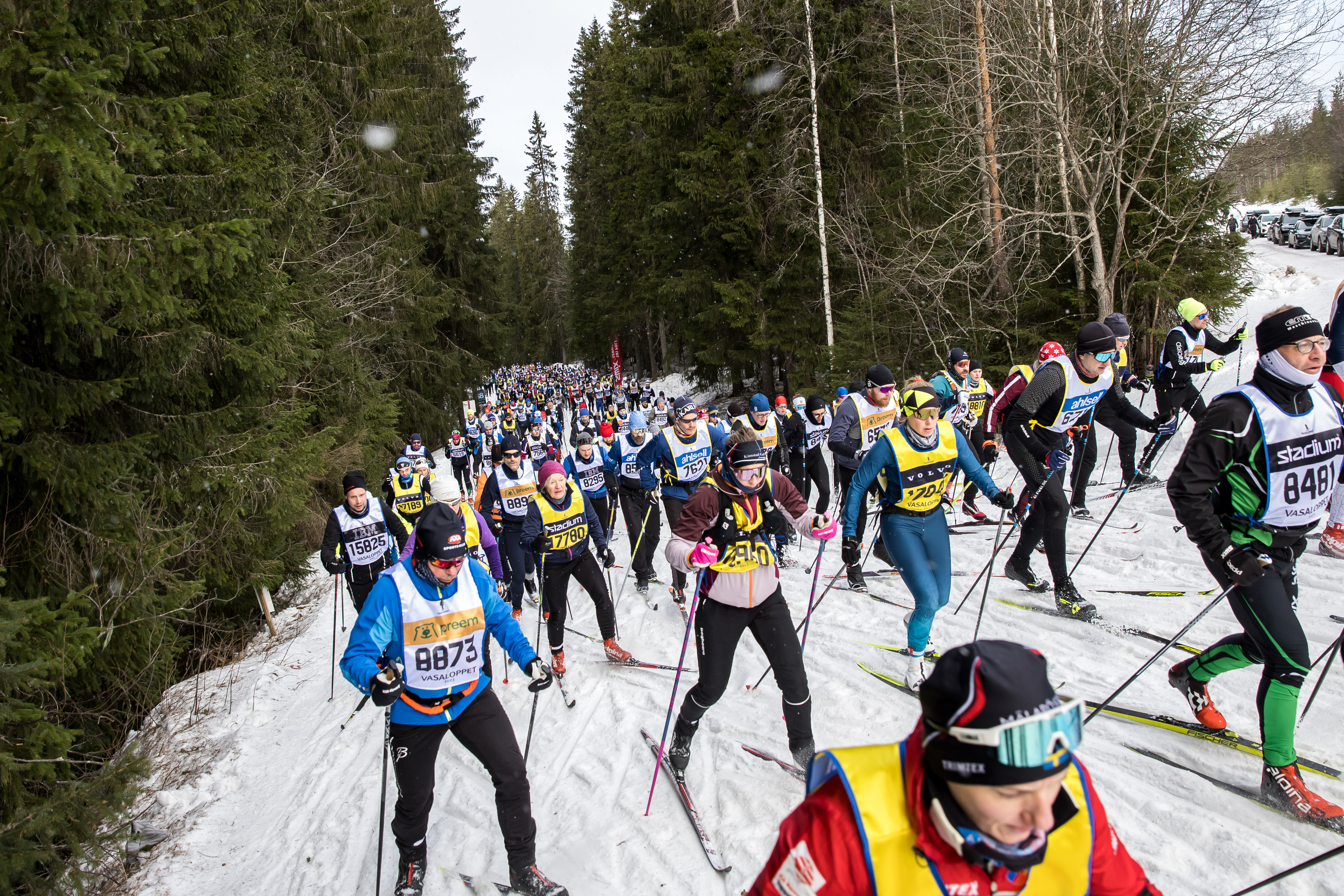 GUIDE: Vasaloppet 2024: Lokala åkarna Rekorden Kändisarna – Smålänningen