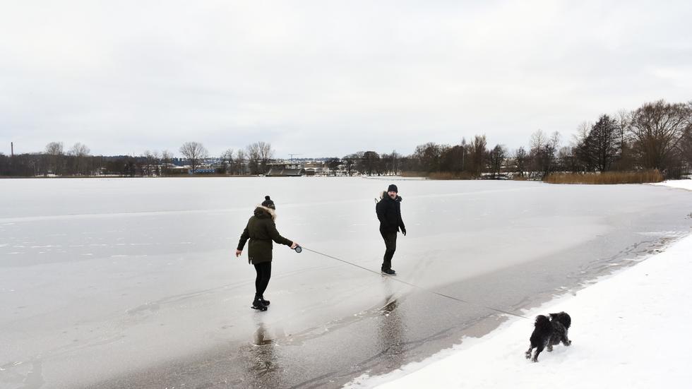 Två flanörer vågade sig ut någon meter på Rocksjöns is under söndagen, hunden höll sig tryggt på land.