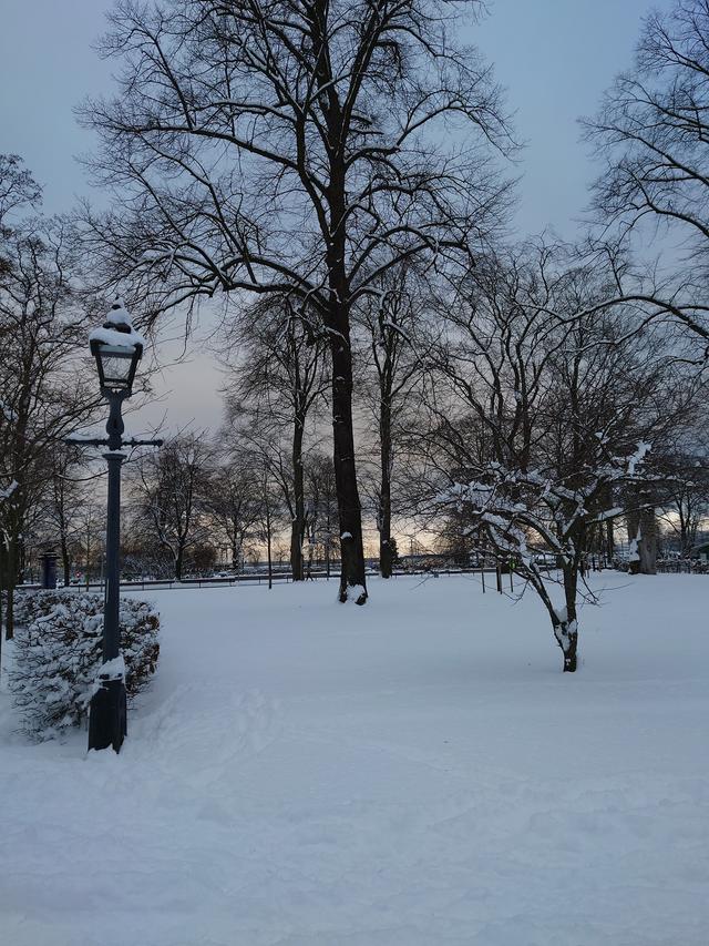 Rådhusparken i vinterskrud. Foto: Marie Ferm