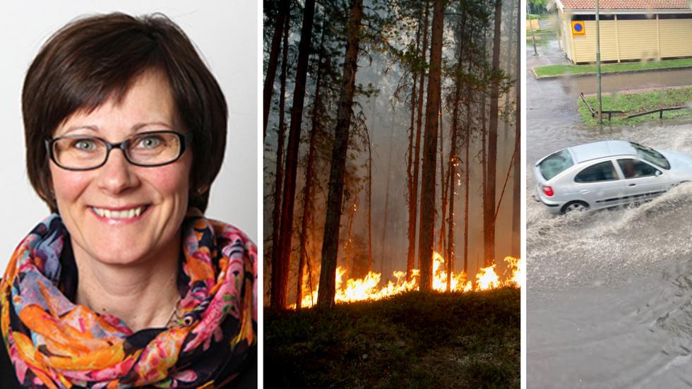 Klimatet i Jönköpings län väntas bli varmare och torrare, men också blötare. Klimatfrågan är komplex, säger Catarina Kristensson, chef för enheten för ekologisk hållbarhet på Länsstyrelsen i Jönköpings län.