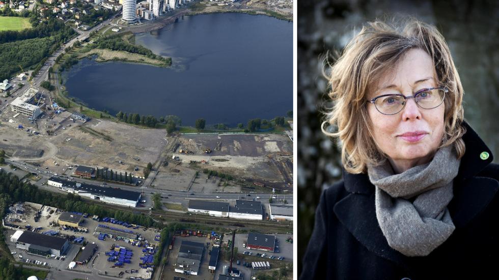 Margareta Sylvan (MP) säger att en idé är att se över utsläpp vid byggen, inte minst nu när Jönköping expanderar. Men det bli upp till statskontoret att utforma exakt hur pengarna ska användas för klimatet. 