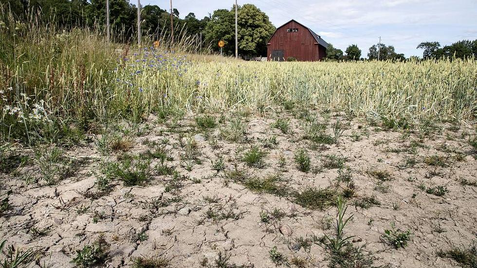 "Att vi har haft varm luft i Sverige under en sommar kan handla om slumpen", säger Eva Strandberg, meteorolog på SMHI.