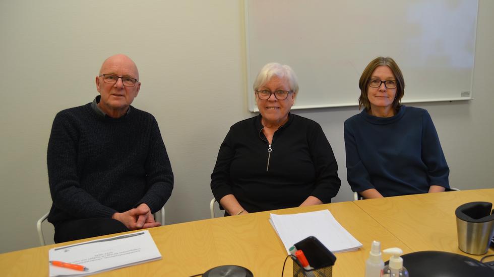 Här är trion som har skrivit en motion om att utreda solcellspark i Habo kommun: Gunnar Pettersson (S), Lena Danås (V) och Maria Arwidson (MP). 