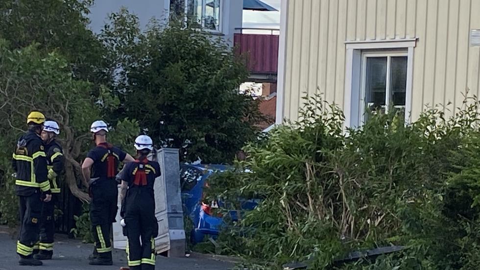 En personbil ska ha kört in i en trädgård på Hallmansvägen i Jönköping.