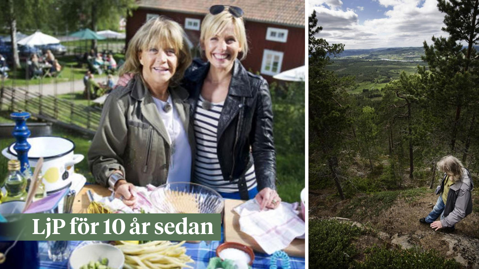 Tv-kock besökte Lill-Babs • Vindkraft för sex miljarder • Nytt  naturreservat – Ljusdals-Posten