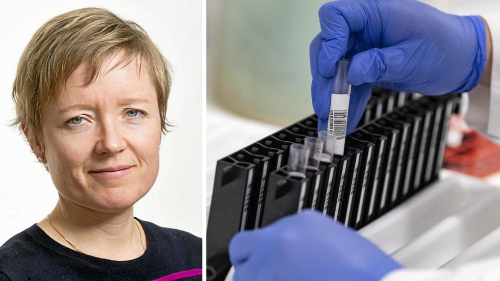 Blodprover görs klara för att analyseras avseende covid-19 antikroppar i ett av laboratorierna på Klinisk mikrobiologi i Lund. 