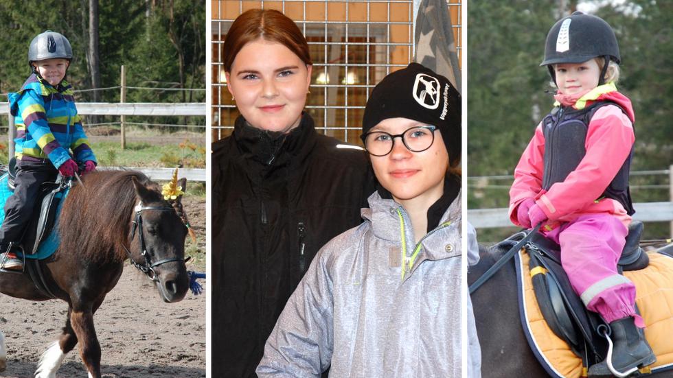 Både nybörjare och erfarna har fått upp ögonen för hästsportens breda utbud på Vaggeryds Travskola.