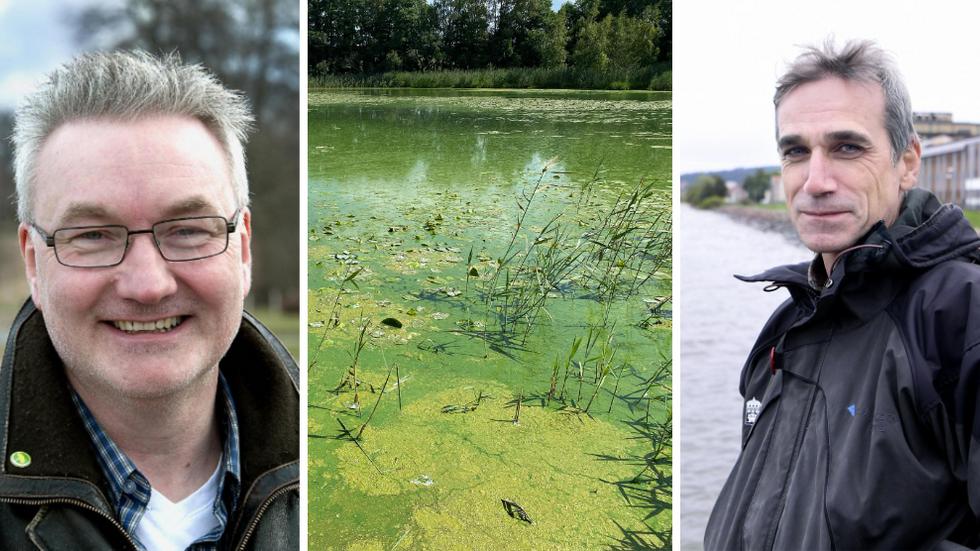Måns Lindell och Mats Weidman vill försöka rädda Barnarpssjön - men det tar tid och är inte så lätt.