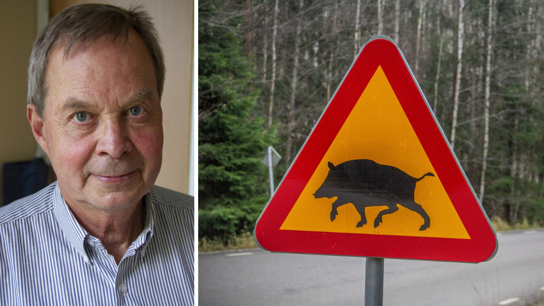 Karl Hedin Vill Minska Den Avstängda Zonen – Nya Ludvika Tidning