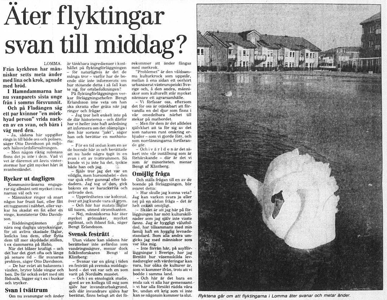 I Sydsvenskans artikel 1993 påminde folklivsforskaren Bengt af Klintberg att svanar en gång i tiden var ”en festrätt på svenska middagsbord – det vet var och en som varit på Nordiska muséet”. 