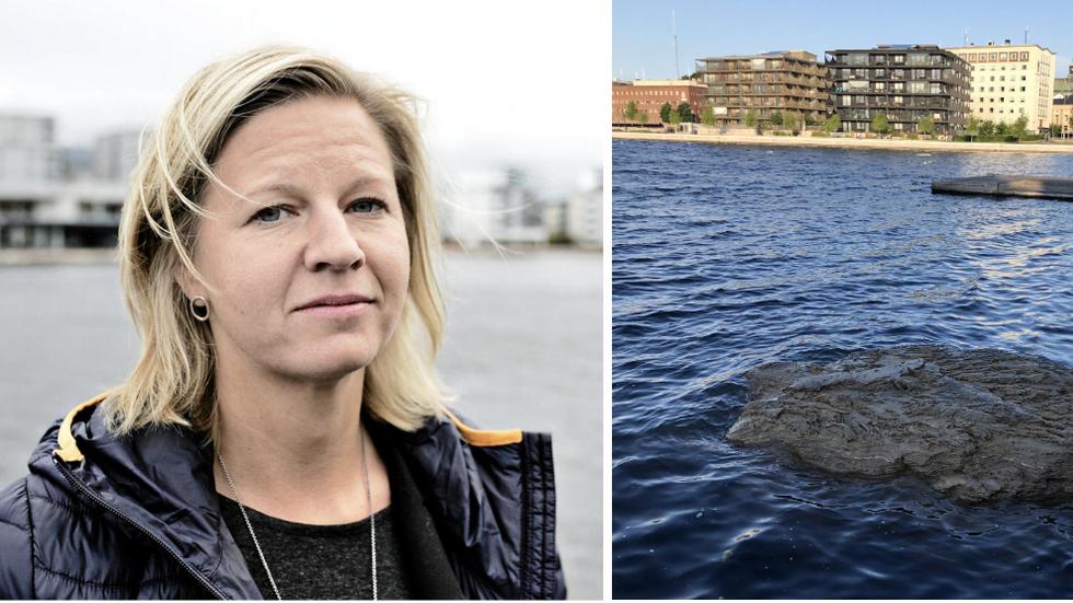 Emma Willaredt, Länsstyrelsen och ett bottensediment som en läsare fångade på bild 2019. 