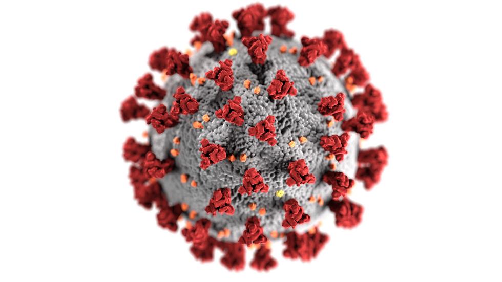 Coronavirus. Illustration: Centers for Disease Control and Prevention/Bildbyrån/TT