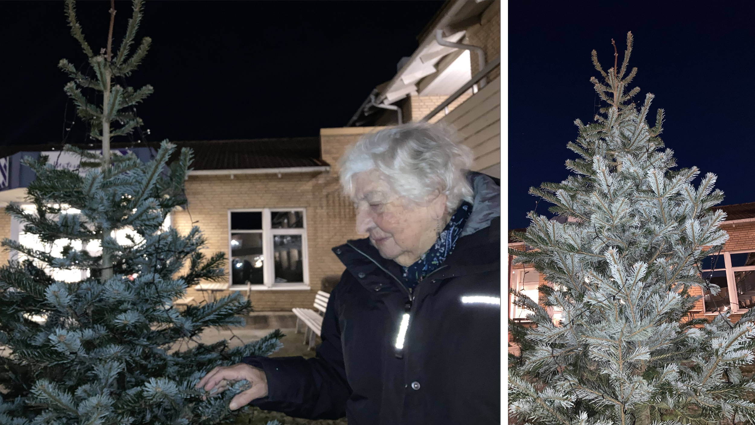 Julstämningen återställd Karidal har fått en riktig julgran Skånska