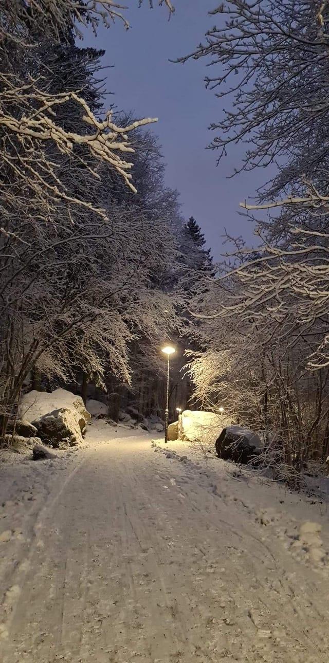 Även från Stockholm fick vi in en snöig bild. Foto: Charlotte Gunnarsson