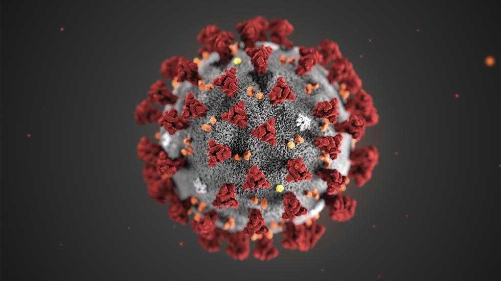 Illustration av coronaviruset. Foto: TT/AP