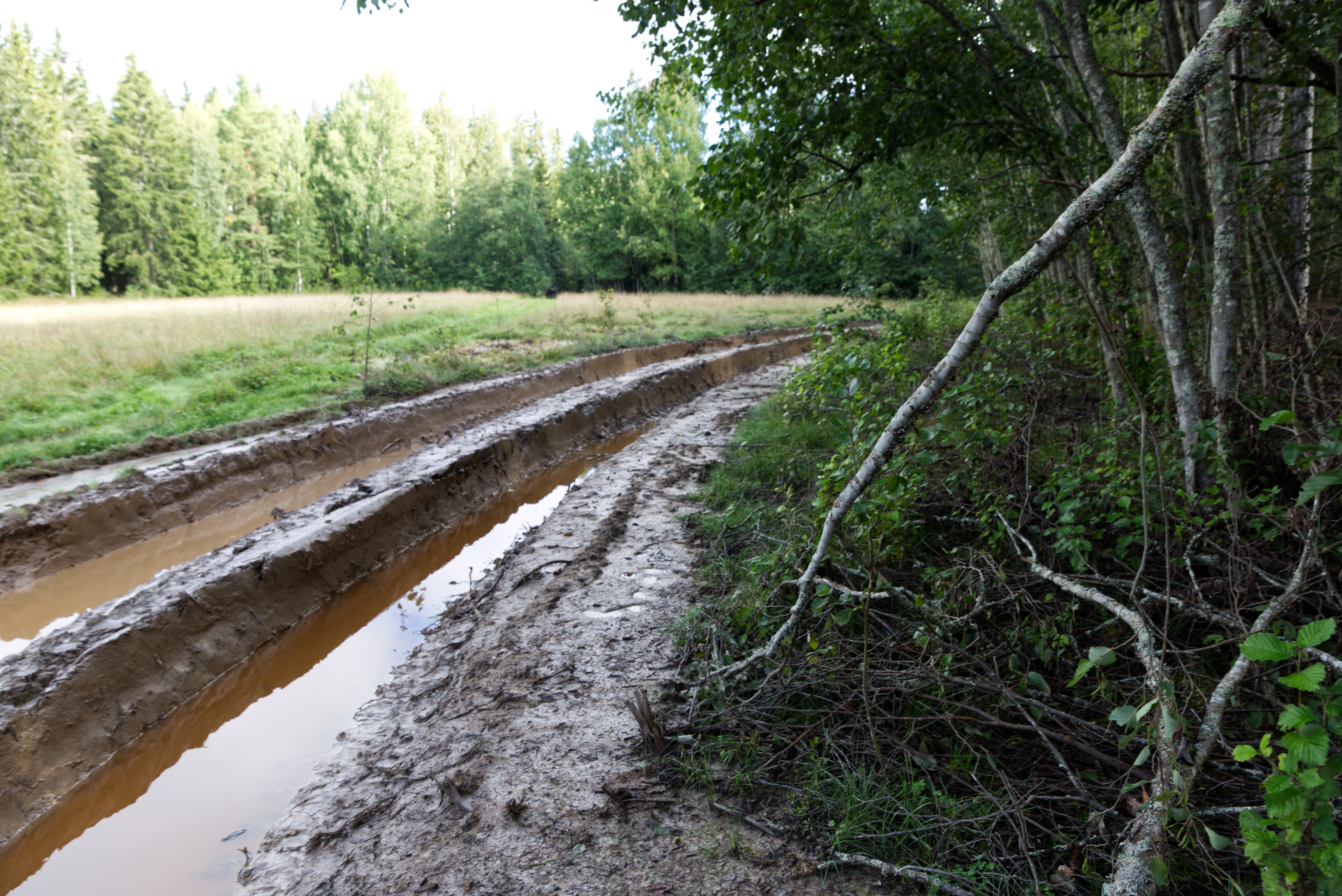 Skogsägare Uppmanas Inspektera Regnskador På Skogsbilvägar – Nya ...