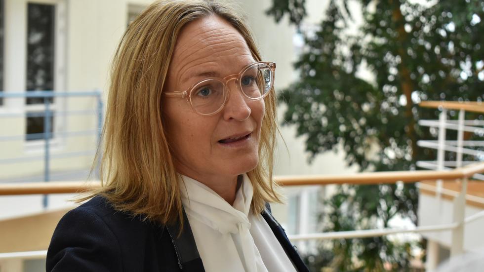 Frida Boklund, regionchef på Företagarna, är mycket kritisk till bristen på handlingskraft från politiskt håll.