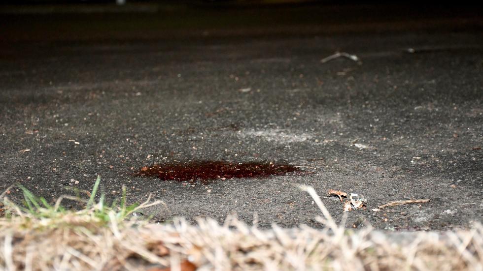 Polisen har tagit vildsvinshuvudet i beslag. Kvar på asfalten är en blodfläck.