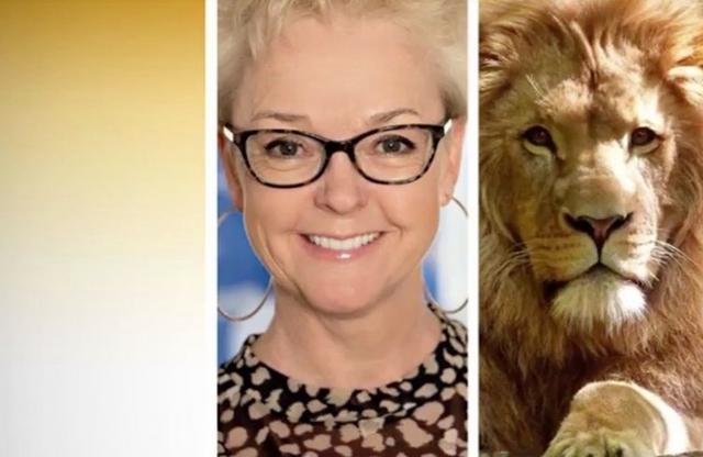 I sin personvalskampanj jämförde Anna Mårtensson sig med ett lejon.