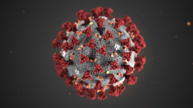 Illustration på det nya coronaviruset. Illustration: CDC/AP/TT
