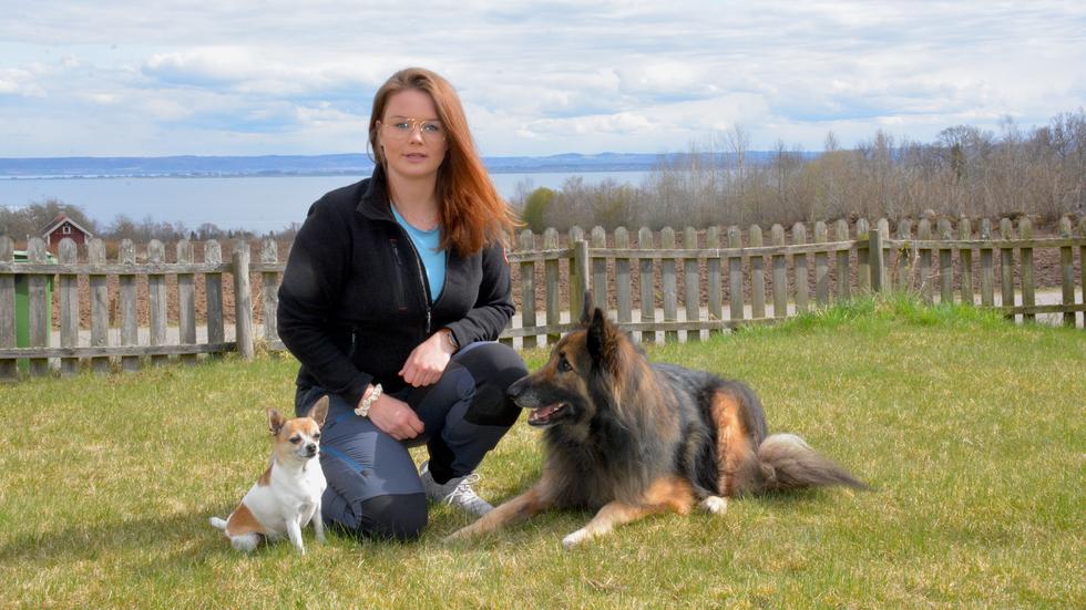 Emma Engqvist, 26, har fullt upp just nu då hon studerar till hundpsykolog och sjuksköterska –samtidigt som hon startar ett företag. 