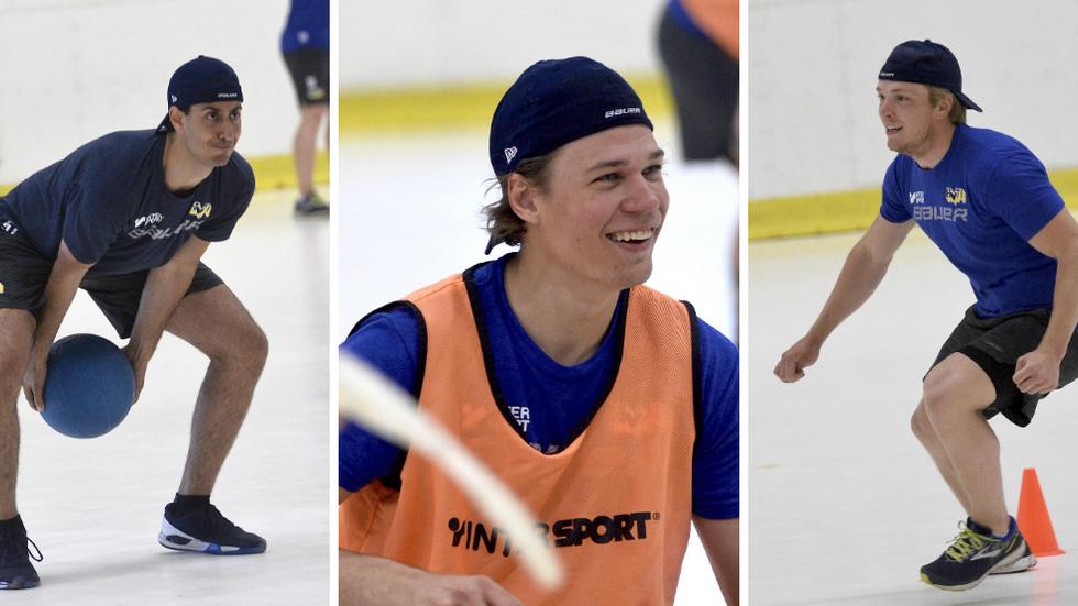 Marcus Karlström, Måns Lindbäck och Zion Nybeck och deras HV71 tränar på för fullt inför den hockeyallsvenska säsongen.
