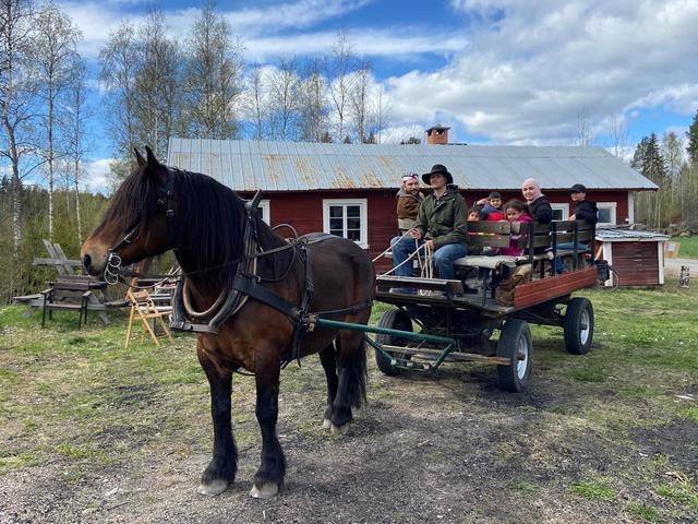 Häst och vagntransport från bygdegården till smedjan med Andreas Iljegårds fina ekipage. Foto: Anita Holm