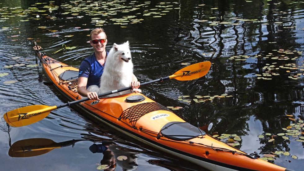 Jonathan Ljungqvist brukar ofta ta med sig hunden Coda ut för att paddla på sjön.