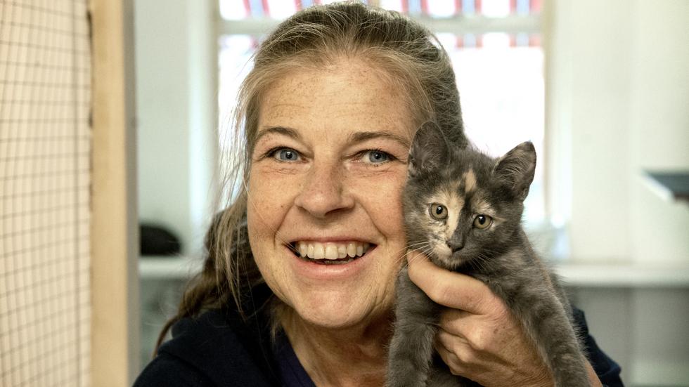 Hemlösa katter har nu fått ett hem – i alla fall ett tillfälligt sådant. Djurens vänner i Värnamo har nämligen öppnat ett katthem i stan.
Ann-Louise Jansson är styrelseledamot i föreningen, vars engagemang för de hemlösa katterna är stort.
