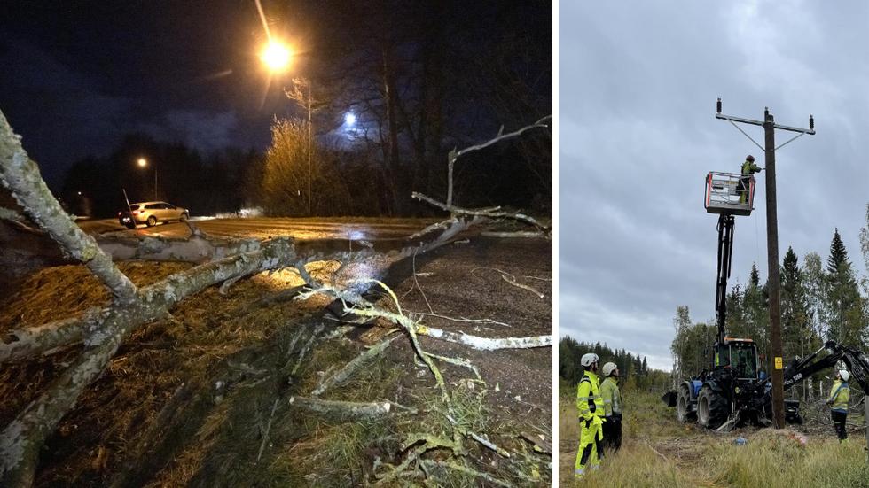 SMHI utfärdade flera varningar för lokala stormbyar i delar av landet under kvällen och natten. På bilden ett stormfällt träd som blockerade en väg i Skåne för några dagar sedan. Arkivbild.