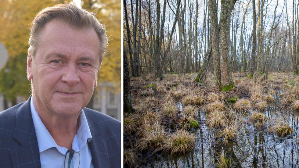 Peter Jutterström (M) vill ta krafttag mot torrlagda våtmarker. De släpper ut koldioxid. 
