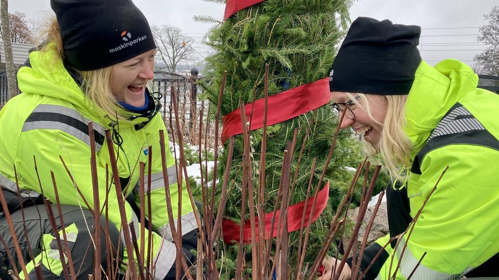 Miriam Höglund och Marie Johansson från Mullsjö kommuns gata/park-enhet ordnar med julpynt vid infarten till centrum i Mullsjö. De har monterat granris på de tre växtstöden och har lindat röda band runtom. Ovanpå banden blir det en slinga med små ledlampor. 