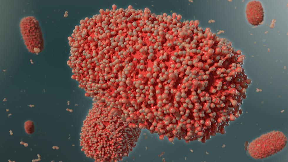 3D-illustration föreställande apkoppsvirus. Arkivbild.