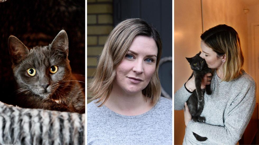 Hanna Svennemar, 33 år, manar att man måste tänka efter innan man skaffar en katt. Det finns just nu 150 000 hemlösa katter i Sverige.