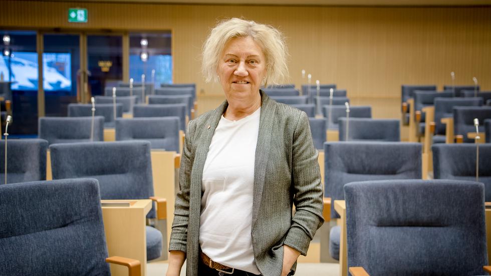 Carina Ödebrink tycker att infrastrukturministern och den borgerliga majoriteten sviker Jönköpings län.