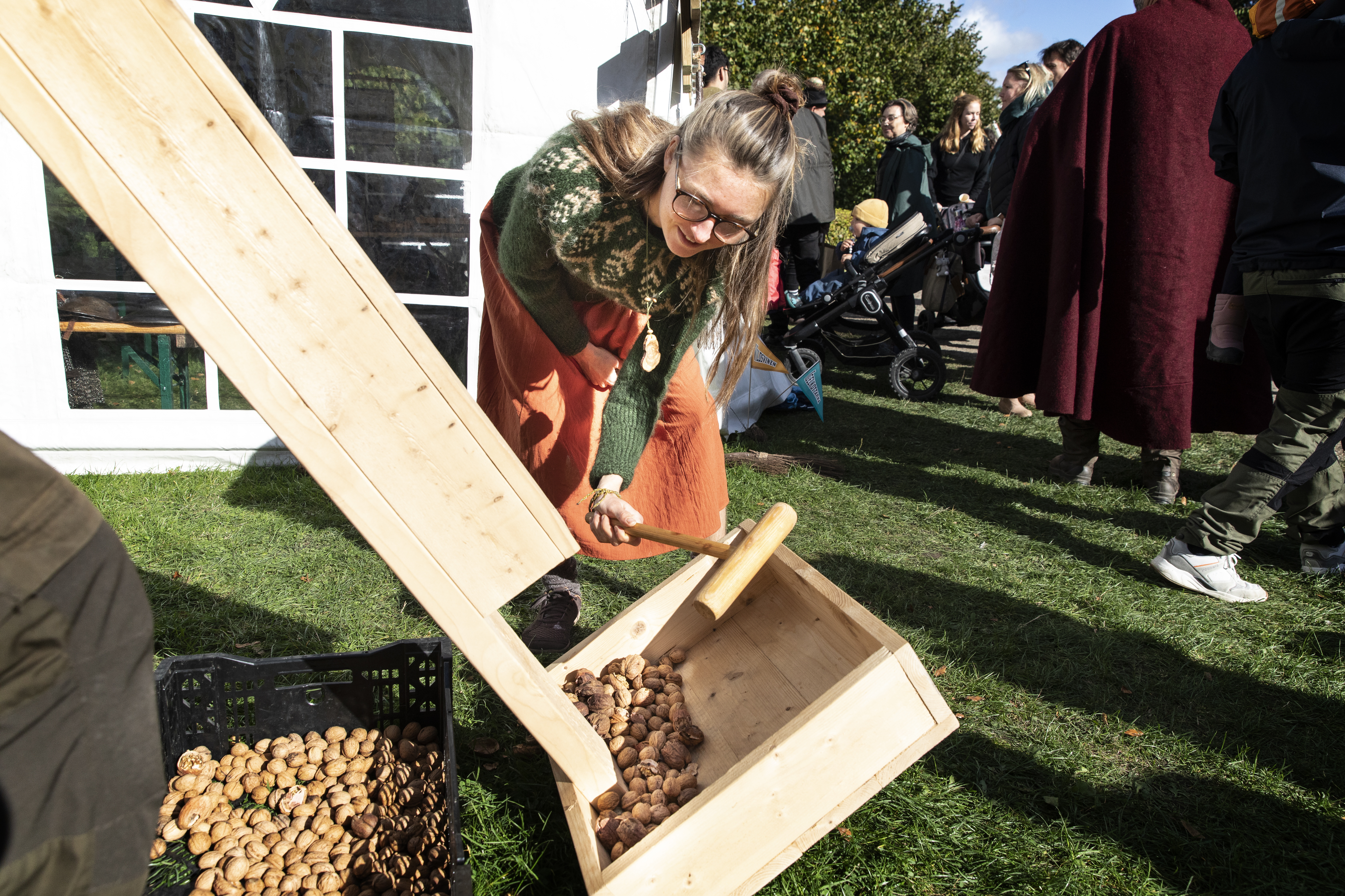 Med Nötterna I Giljotinen På Torups Valnötsfestival – Sydsvenskan